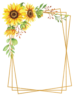 Frame with Sunflowers, yellow flowers, floral illustration png