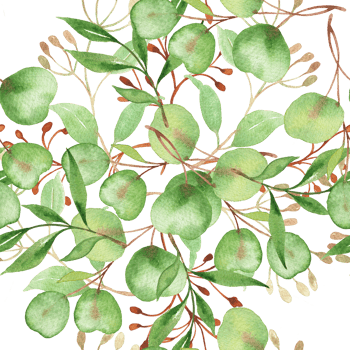 A watercolor illustration of green apples png