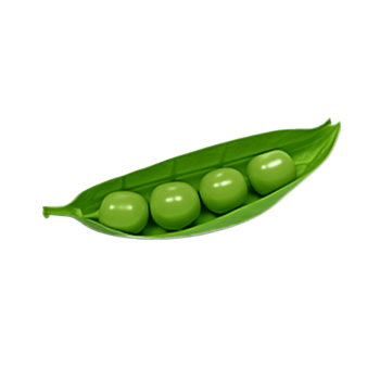 Pea no background png
