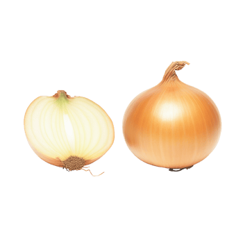 Onion no background png