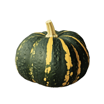Pumpkin no background png