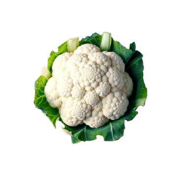 auliflower no background png