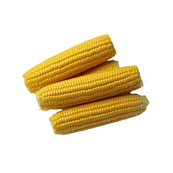 Corn no background png