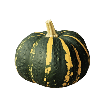 Pumpkin no background png