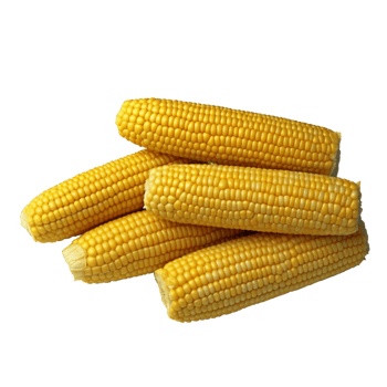 Corn no background png