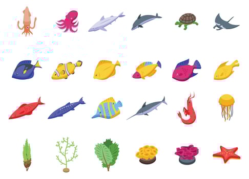 Seabed icons set isometric vector. Wild fish sea vector