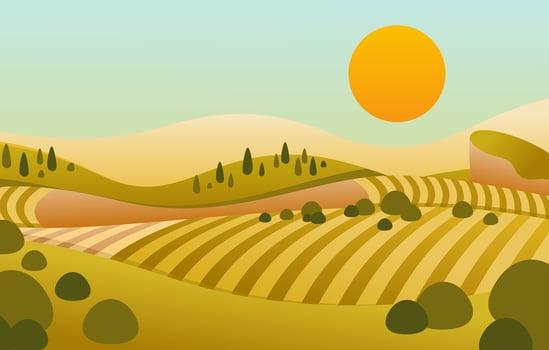 flat vector illustration of landscape hill with sunset view and beautiful yellowish green field