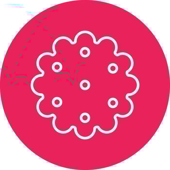 Cookie Vector Icon