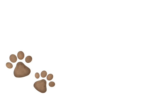 clip art Hand drawn watercolor Dog or cat paw. cut out Cute animal brown footprints. foot step silhouette imprint of kitten, puppy. art in corner of sheet on transparent background. copy space png