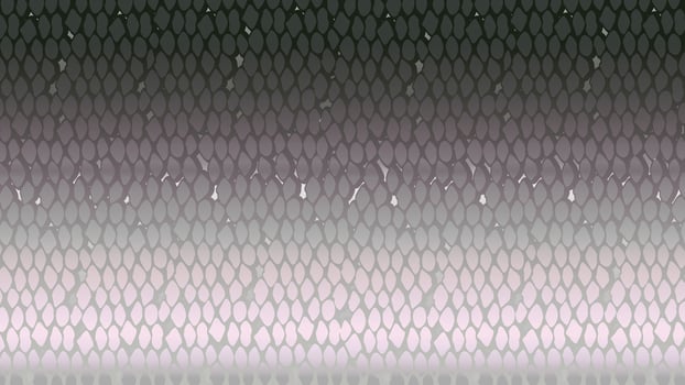 picture of fish texture vector
