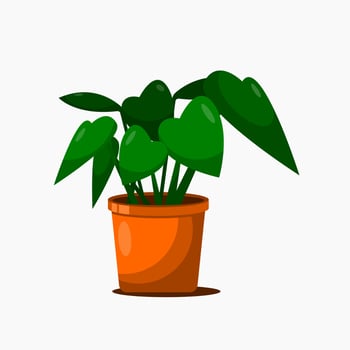 flower on pot flat illustration vector