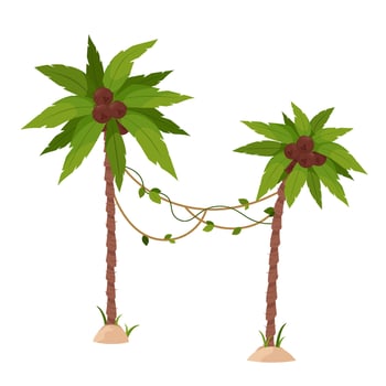 Palm tree with green leaves, liana and ripe coconuts on a white background. vector