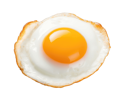 Fried Egg isolated on transparent background. PNG file, cut out. AI Generated