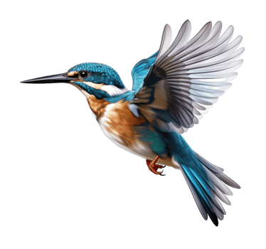 Flying kingfisher isolated on transparent background. PNG file, cut out. AI Generated