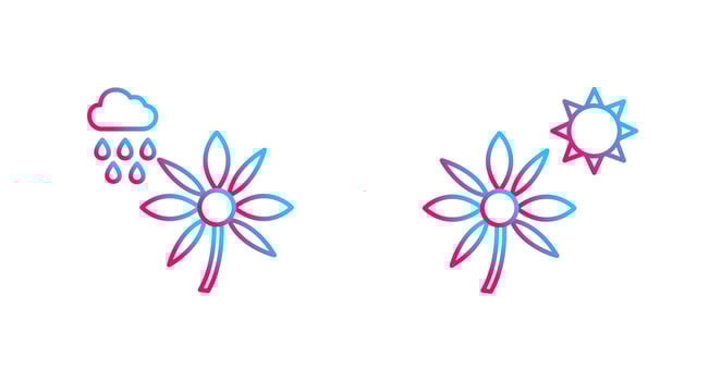 Flower with rain and Flower  Icon vector