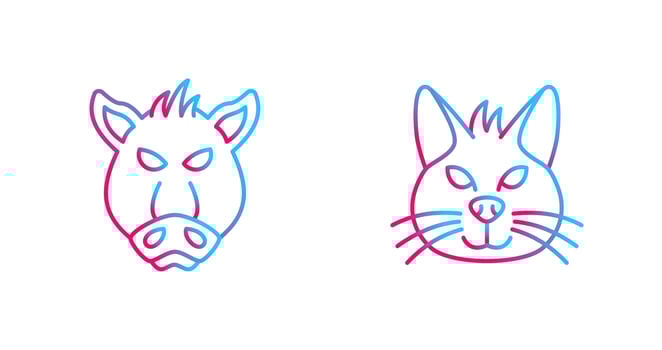 Pig and Cat Icon vector