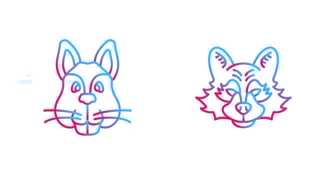 Squirrel and Raccoon Icon vector
