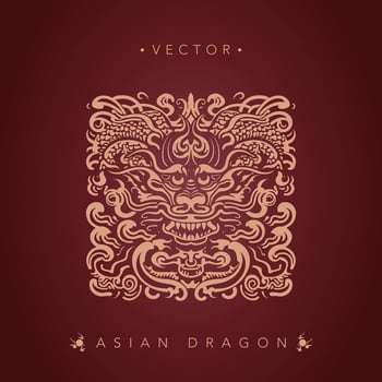 Asian dragon chinese dragon totem pattern vector