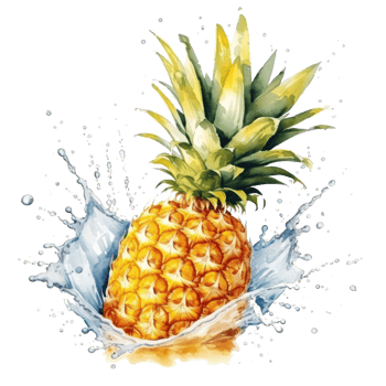 watercolor pineapple isolated png