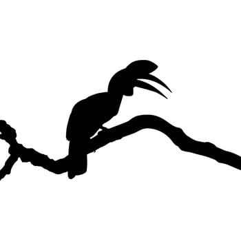 Great Horn Bird Silhouette Perched on the Branch Tree Silhouette. Vector Illustration