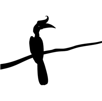 Great Horn Bird Silhouette Perched on the Branch Tree Silhouette. Vector Illustration