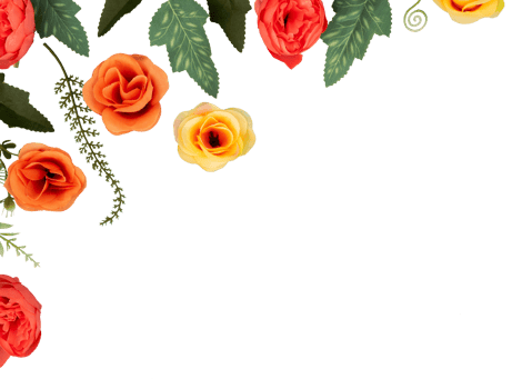 red rose corner decoration element png
