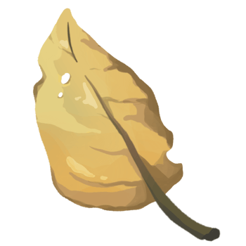 the old leaf png