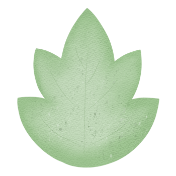 Green leaf illustration png