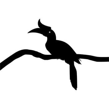 Great Horn Bird Silhouette Perched on the Branch Tree Silhouette. Vector Illustration