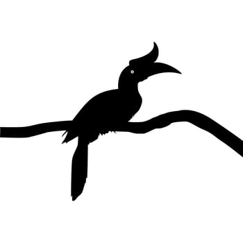 Great Horn Bird Silhouette Perched on the Branch Tree Silhouette. Vector Illustration