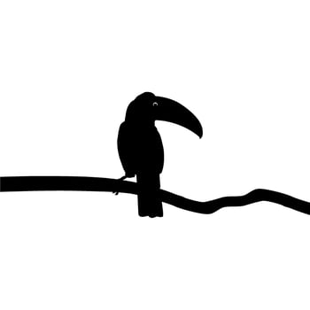 Toucans are Neotropical members of the near passerine bird family Ramphastidae. The Ramphastidae are most closely related to the American barbets, Bird Silhouette. Vector Illustration