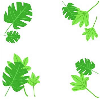 Montera leaf vector illustration. With isolated white background. Suitable for background design.