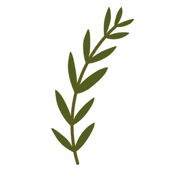 Botanical leaves illustration png