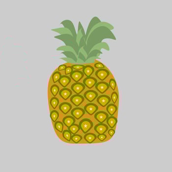 Pineapple Fruit Cartoon Vegetable Illustration Design vector