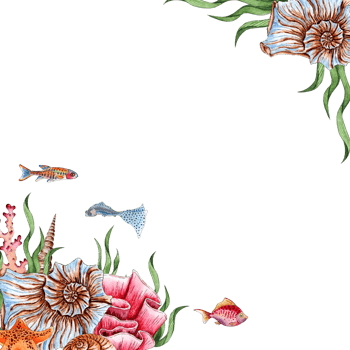 Watercolor illustration of a frame of shells, corals, algae, starfish and fish. Composition for posters, postcards, banners, flyers, covers, posters and other printing products. isolated png