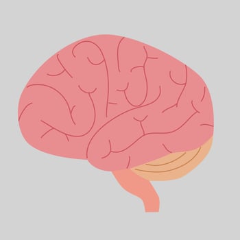 illustration of human internal organs vector