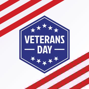 veterans day celebration poster, american flag vector. design for banner, greeting card, flyer, social media, web. vector