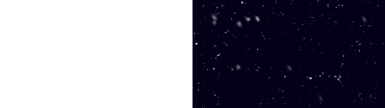 Snow Png. Snow Isolated Background. Realistic Falling Snow or Snowflakes. Winter Background. Flying Snowflakes in The Air. png