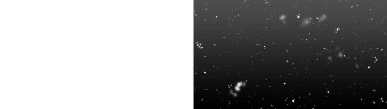 Snow Png. Snow Isolated Background. Realistic Falling Snow or Snowflakes. Winter Background. Flying Snowflakes in The Air. png