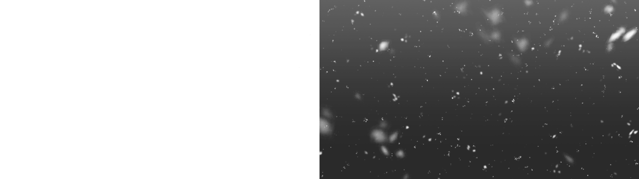 falling snow isolated background. snowflakes transparent background. black and white Png snowfall background