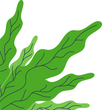 Fresh Tropical Leaf Corner Border png