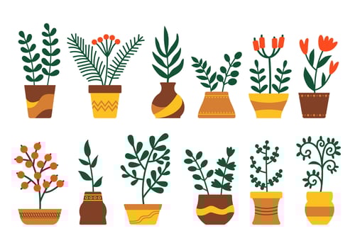 Houseplant Potted Illustration Set vector