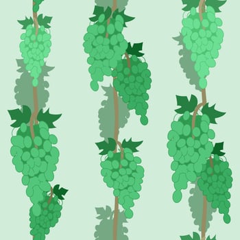 Pattern with green grapes. Background with vines on a green background. Seamless vector pattern