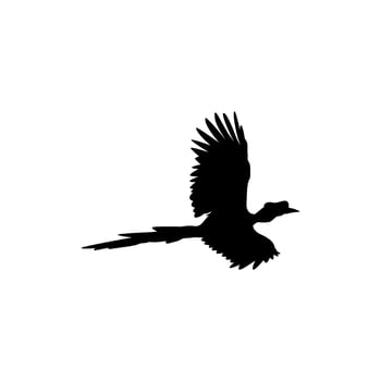 Flying Great Horn Bird Silhouette. Can use for Art Illustration, Logo Gram, Website, Pictogram or Graphic Design Element. Vector Illustration