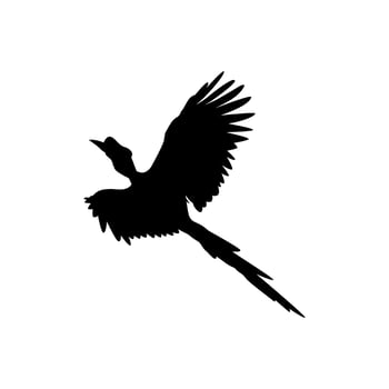Flying Great Horn Bird Silhouette. Can use for Art Illustration, Logo Gram, Website, Pictogram or Graphic Design Element. Vector Illustration
