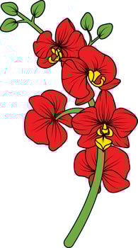 Red orchid branch vector flower, illustration of beautiful red orchid flower