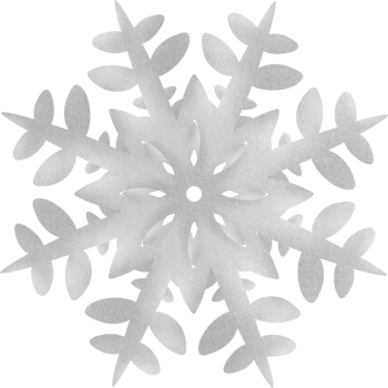 A snow flake png