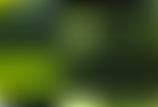 Modern Gradient Trendy Abstract Background vector
