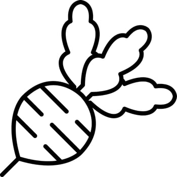Radish Vector Icon
