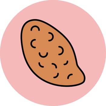 Sweet Potato Vector Icon